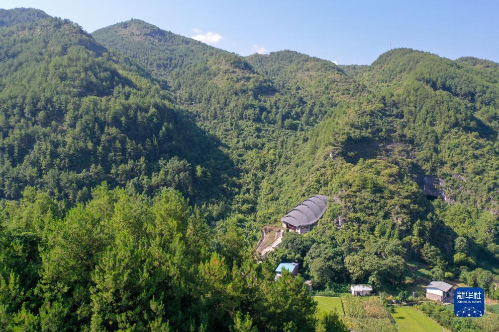 免费送金币的斗牛